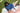 Woman sitting on a pink blanket with a blue sweater and white pants in a grassy area.