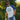 BLUE FISH COTTON RAGLAN TEE
