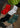 RUFFLE RIB QUARTER SOCK PACK
