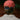 FISH HAT FADED RED WHITE & BLUE